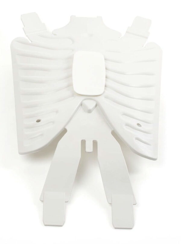 Little Anne żebra Rib plate