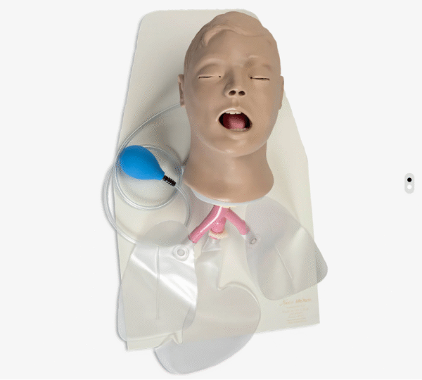 Głowa do intubacji Airway Larry na podstawie