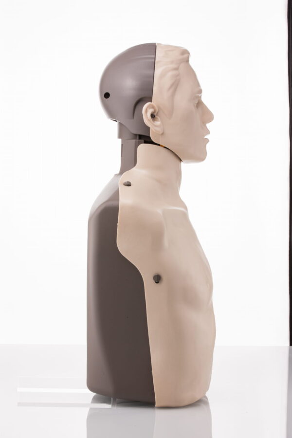 Brayden fantom Basic - obrazek 2